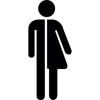 DSI